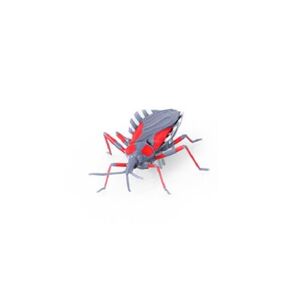 HEXBUG Real Bugs - Asasínský brouk