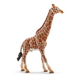 Schleich Zvířátko - žirafa samec