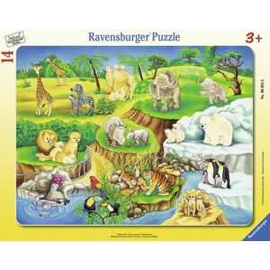 Ravensburger puzzle ZOO 8-17 dílků rámové