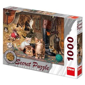 Dino Kočičky 1000D secret collection