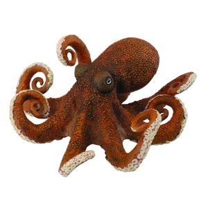 Chobotnice - model zvířátka