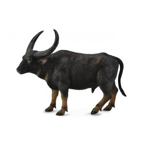 Arni - divoký buvol indický