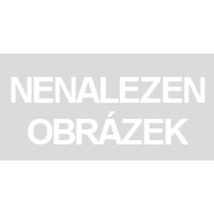 Meteor Beanie Boos RAINBOW - vícebarevný pudl 15 cm