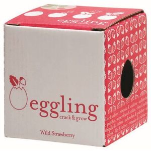 Noted sada na pěstování vajíčko Eggling - Lesní jahoda