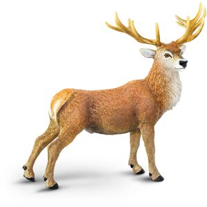 Safari Red Deer Buck